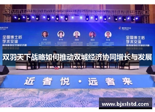 双羽天下战略如何推动双城经济协同增长与发展