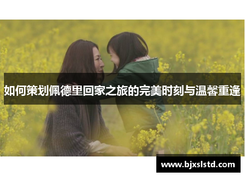 如何策划佩德里回家之旅的完美时刻与温馨重逢