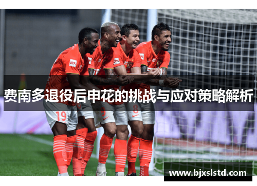 费南多退役后申花的挑战与应对策略解析